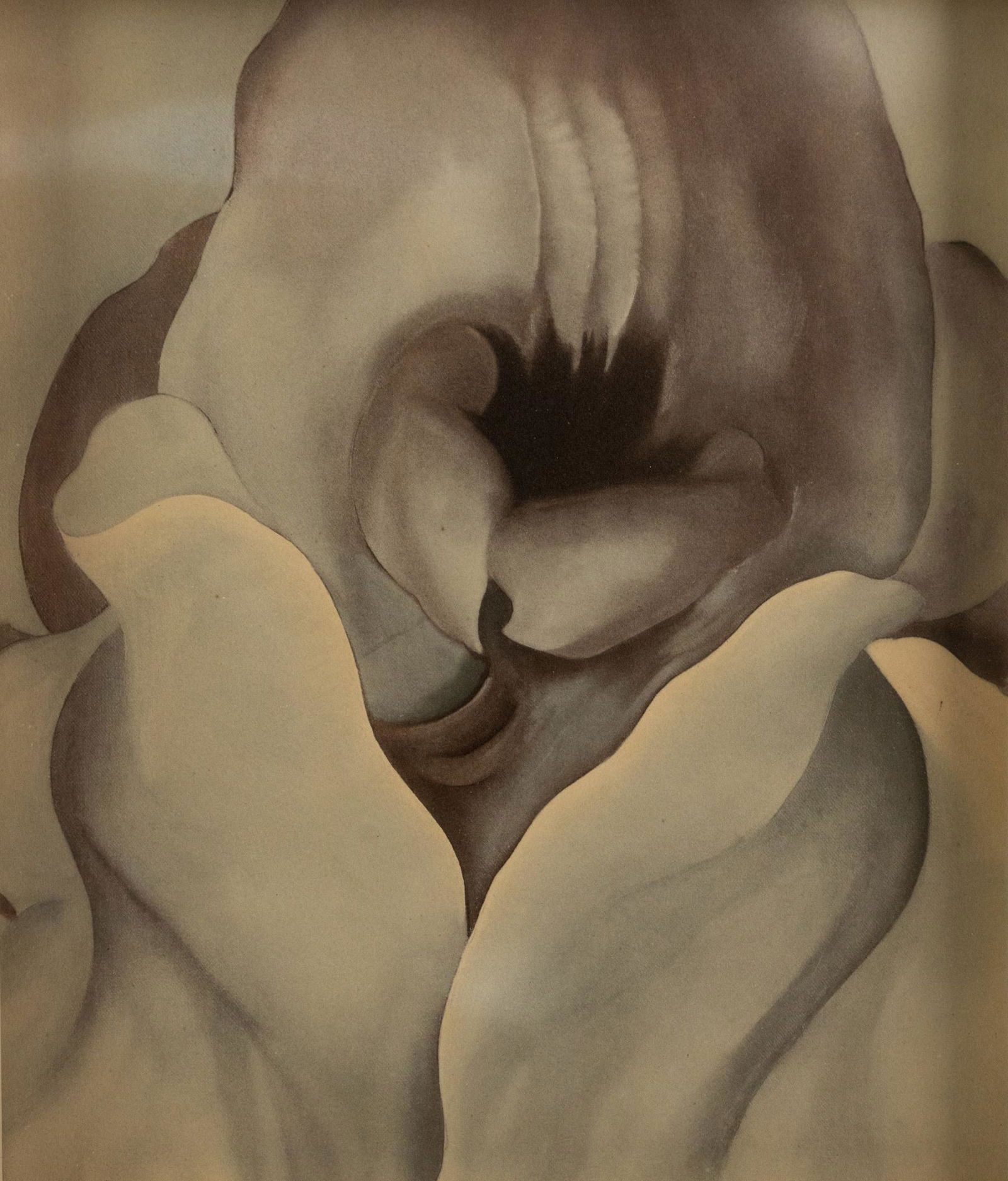 Georgia O'Keefe Style Black Iris Print (1 of 8)