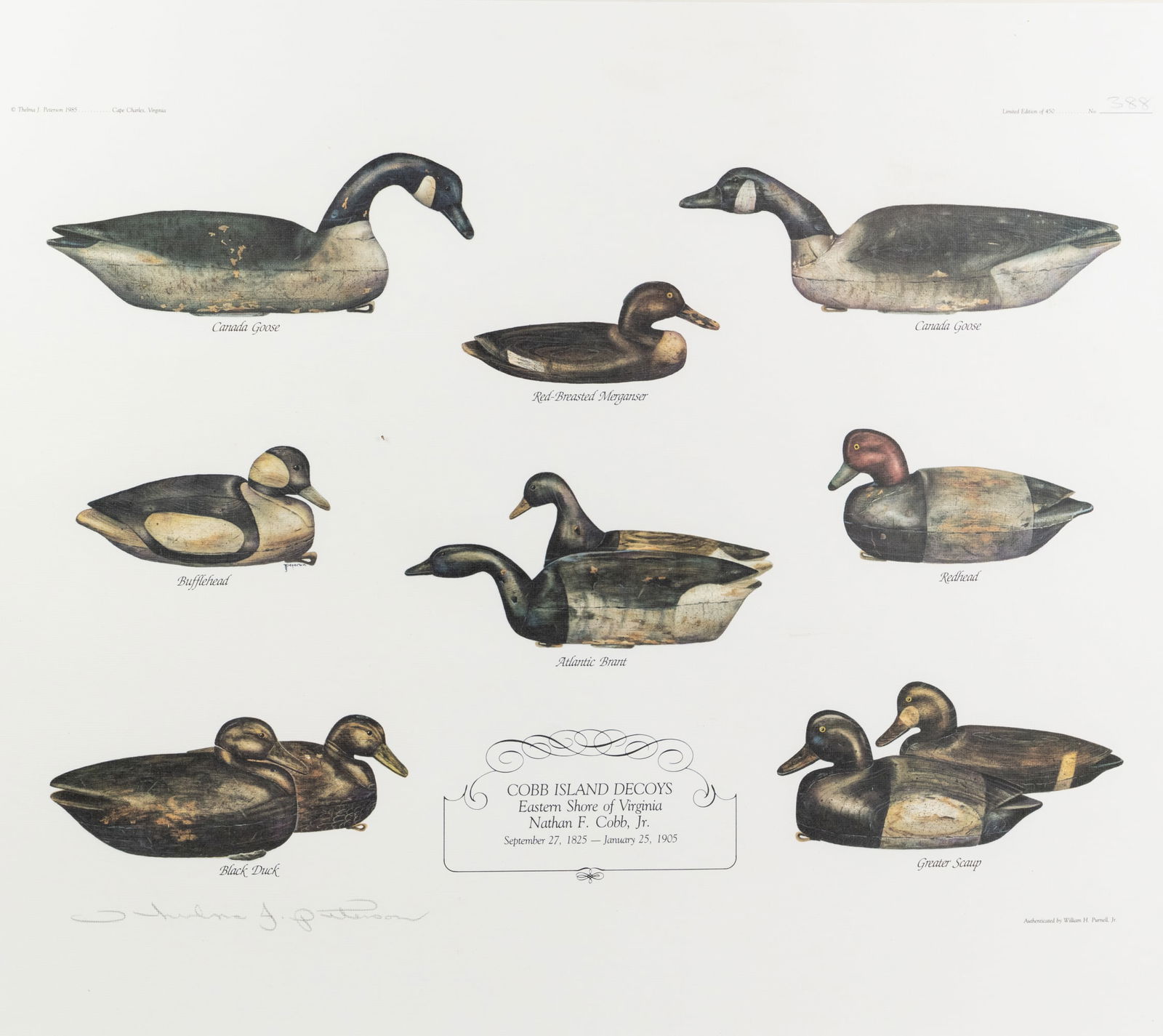 Thelma J. Peterson 'Cobb Island Decoys (1 of 11)