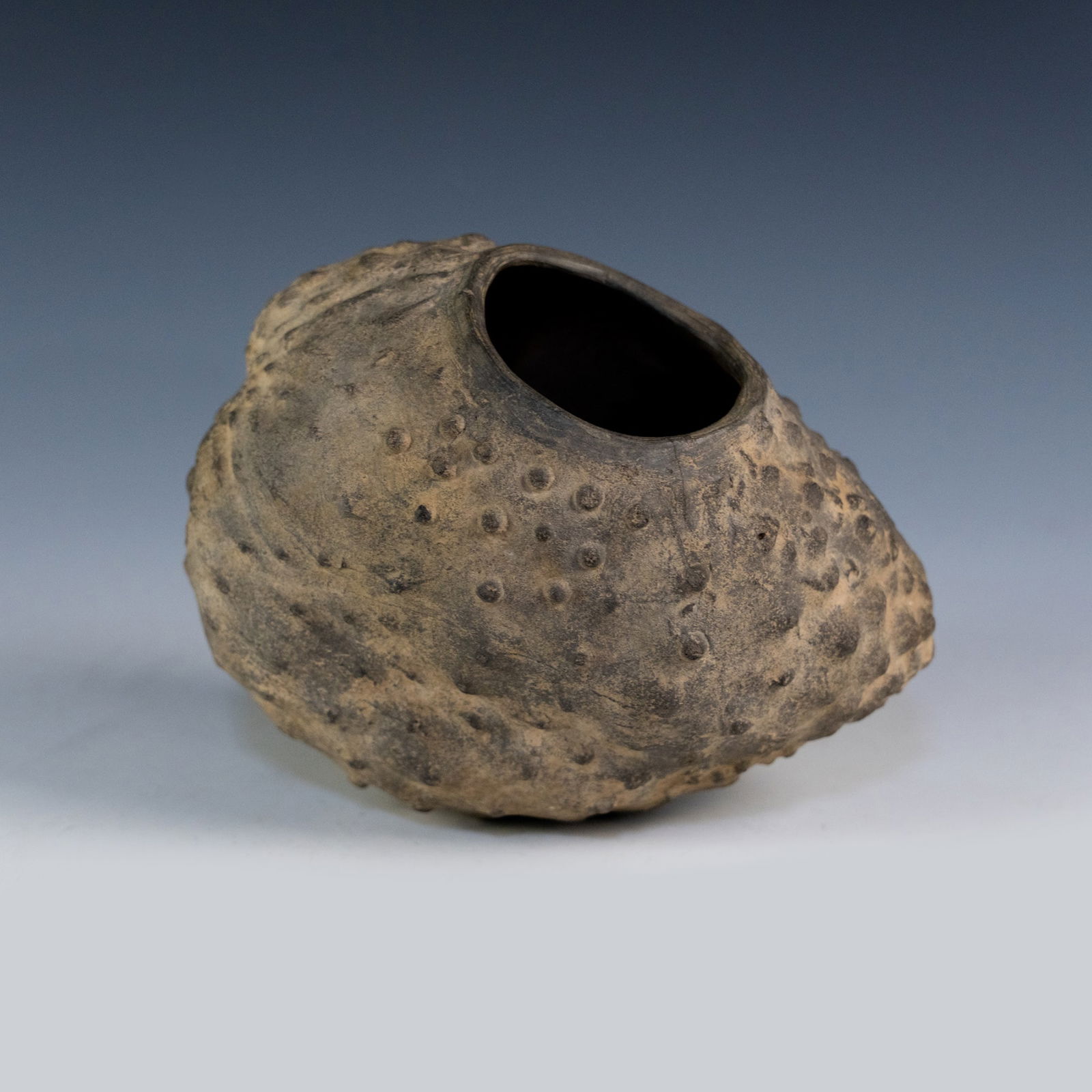 Pre-Columbian Chimu Cherimoya Fruit Effigy: A handcrafted Pre-Columbian Lambayeque Chimu tribe blackware fruit effigy c. 1100-1400 AD in the shape of a cherimoya fruit having a wide spout with rendered bumps along outside. Provenance: Purchased