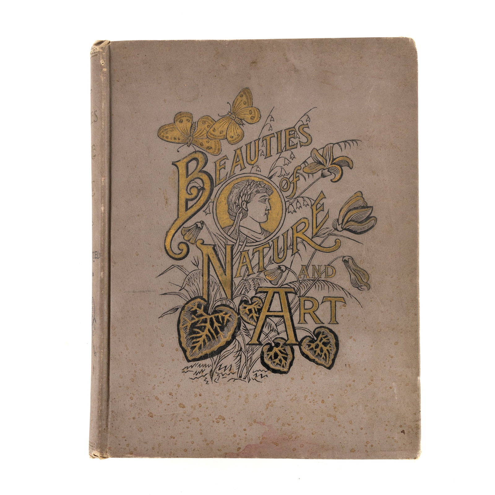 Hardcover 'Beauties of Nature and Art' by Daphne Dale: A hardcover illustrated copy of 'Beauties of Nature and Art' edited by Daphne Dale having a pale gray canvas binding and featuring an embossed front cover and spine. Published in 1892 by National Book