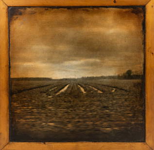 John Folsom Mixed Media on Board 'Field' Signed: A John Folsom (American, b. 1967) silver print and oil on board titled "Field (Excerpt)" depicting a field of crops with motion blur. Signed John F, titled and numbered '12/19' on verso.