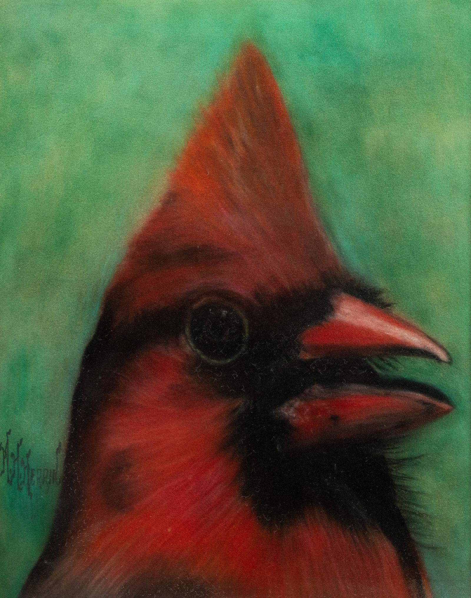 M.H. Herrin Cardinal Pastel on Paper (1 of 8)