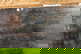 item-177918857=11