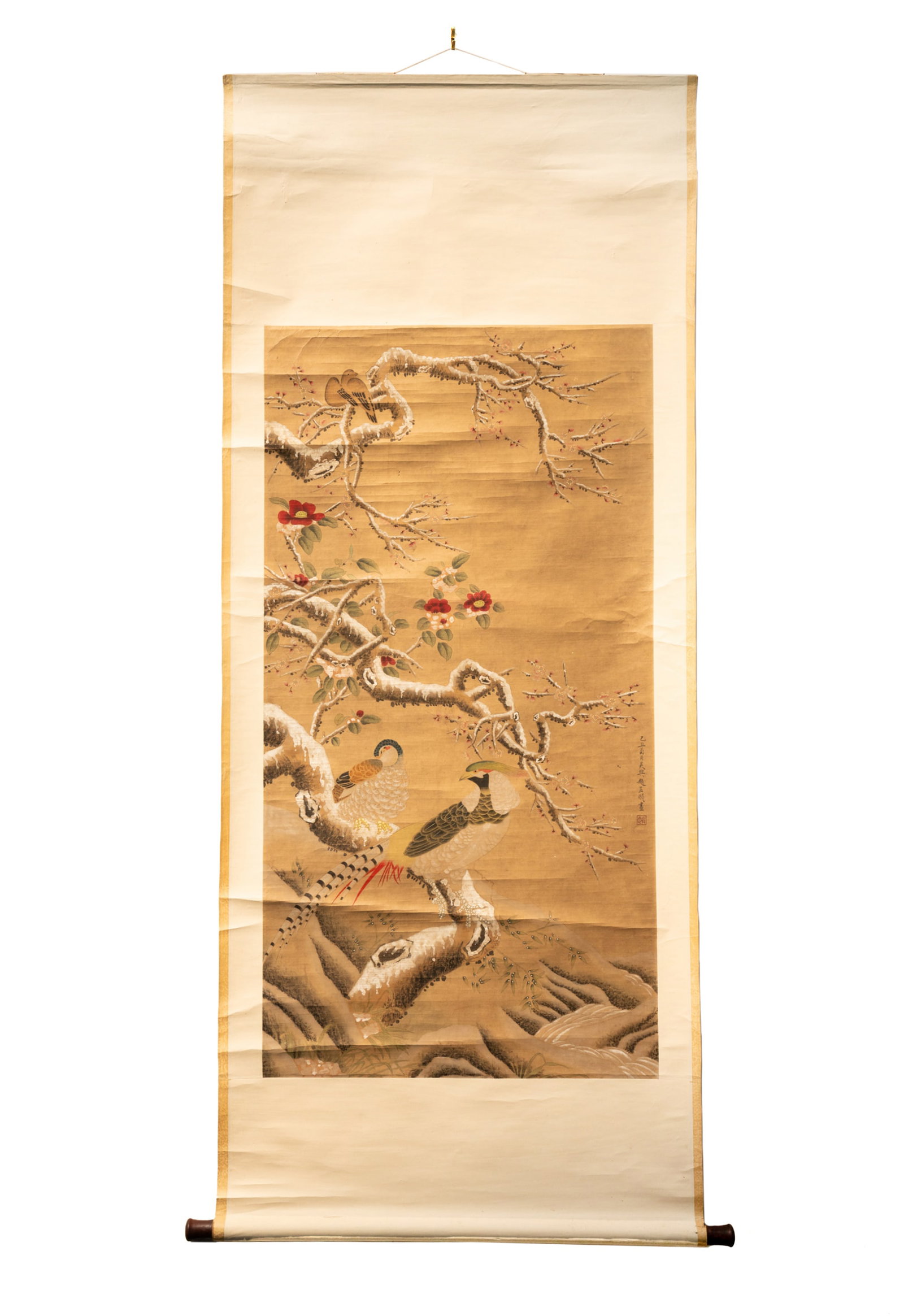 Chinese Golden Pheasant Pigment on Paper Silk Scroll: A Chinese pigment on paper painting mounted to a silk scroll with inscription and possible signature stamps at the lower right corner, and having a wooden roller, and featuring a painted depiction on 
