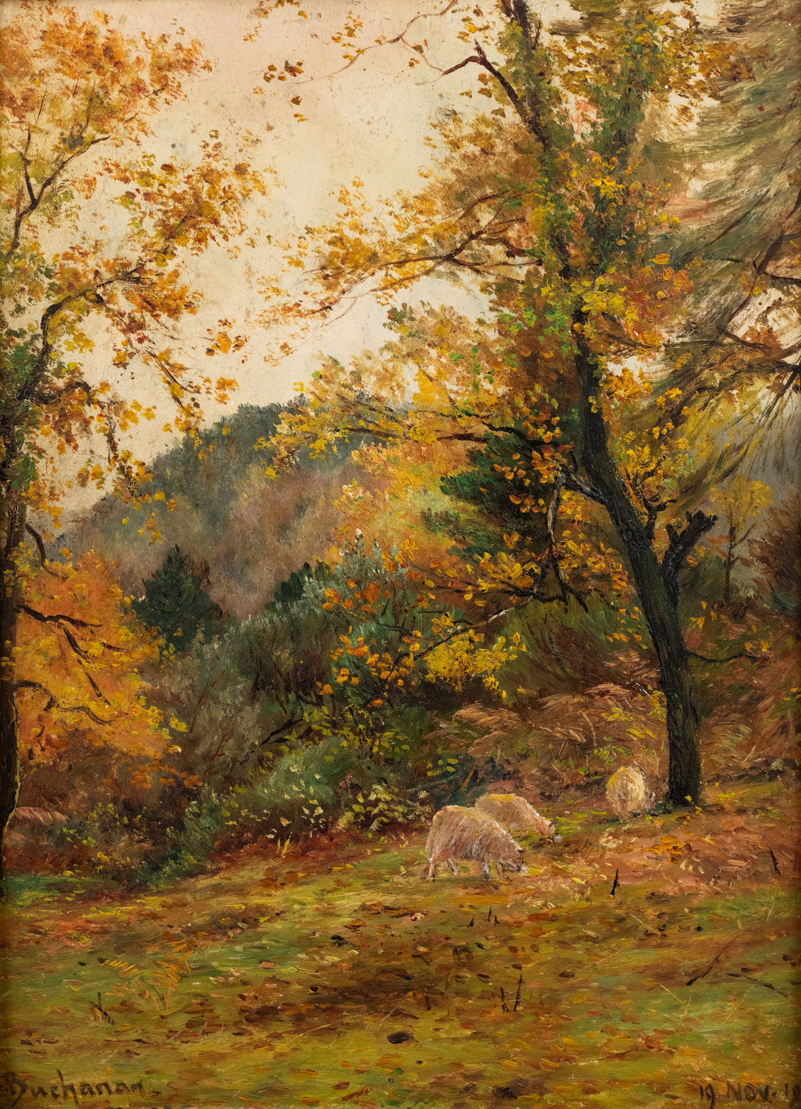 Peter Buchanan Forest Hill Landscape O/B Painting (1 of 11)