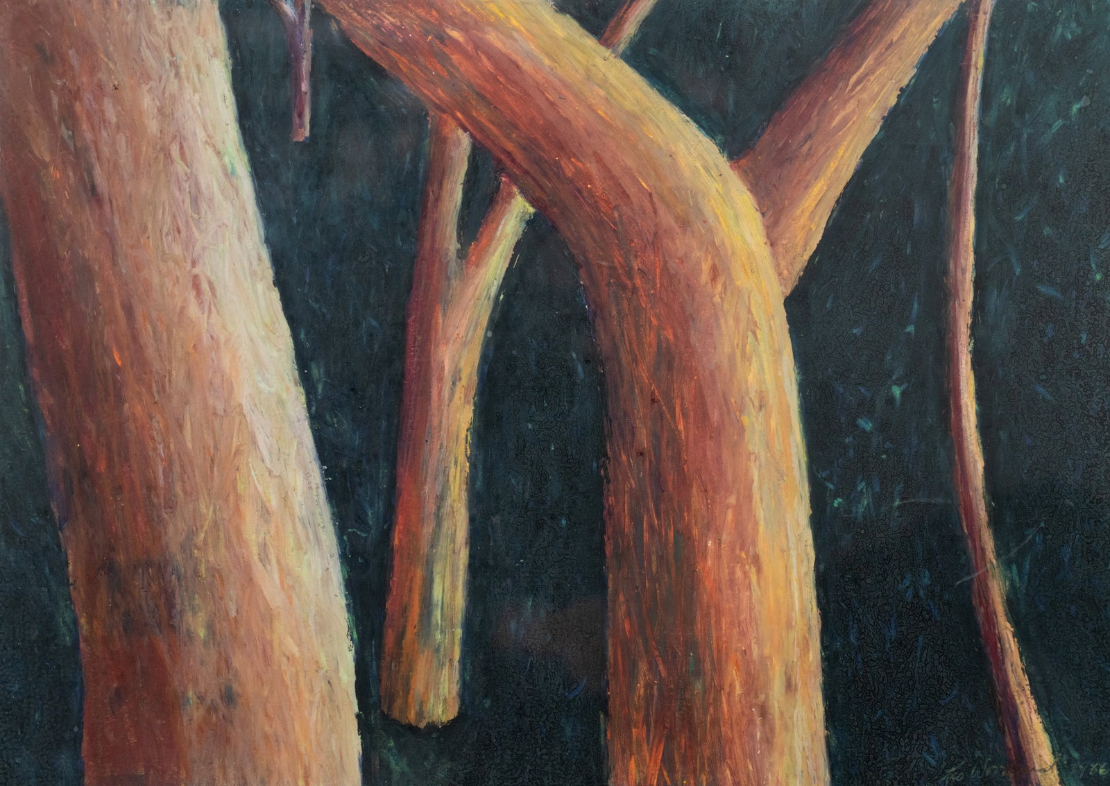 Kesler Woodward 'Arboretum Series #9' Pastel on Paper: A Kesler Woodward (American, b. 1951) crayon on paper drawing titled 'Arboretum Series #9' depicting close ups of trees. Signed lower right. Presented in a frame behind glass. Sight: 10" x 14"