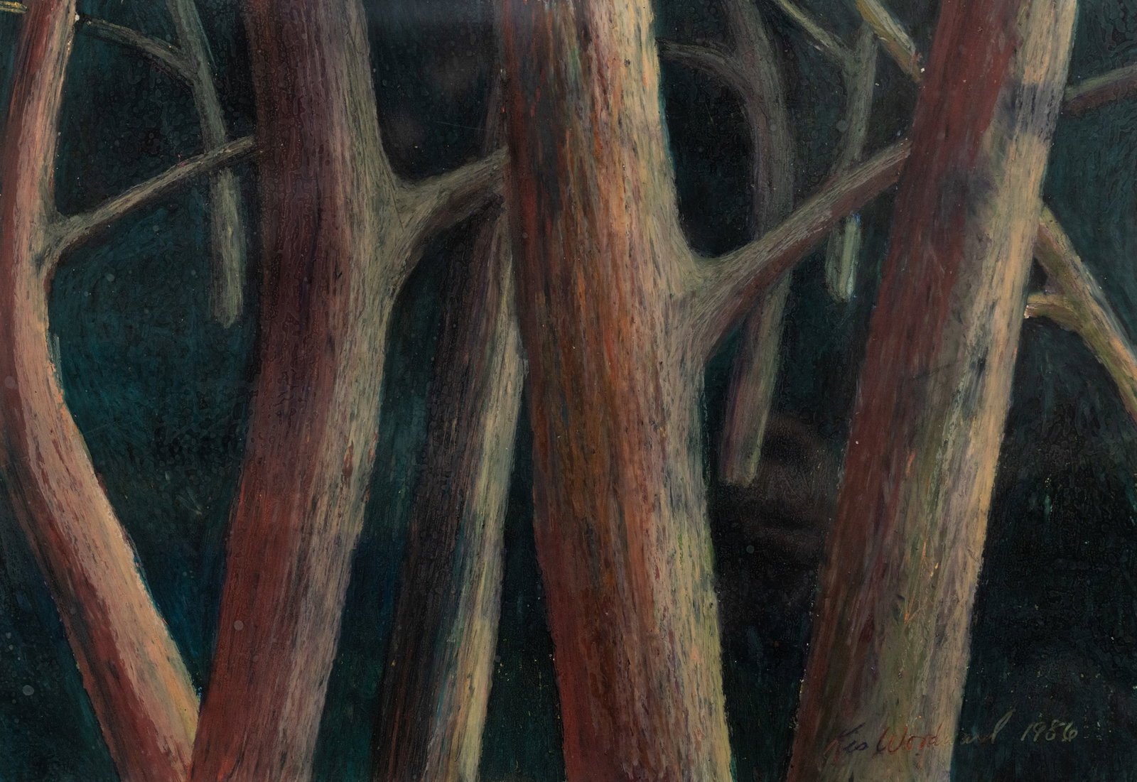 Kesler Woodward 'Arboretum Series #4' Pastel on Paper: A Kesler Woodward (American, b. 1951) crayon on paper drawing titled 'Arboretum Series #4' depicting close ups of trees. Signed lower right. Presented in a frame behind glass. Sight: 10" x 14"