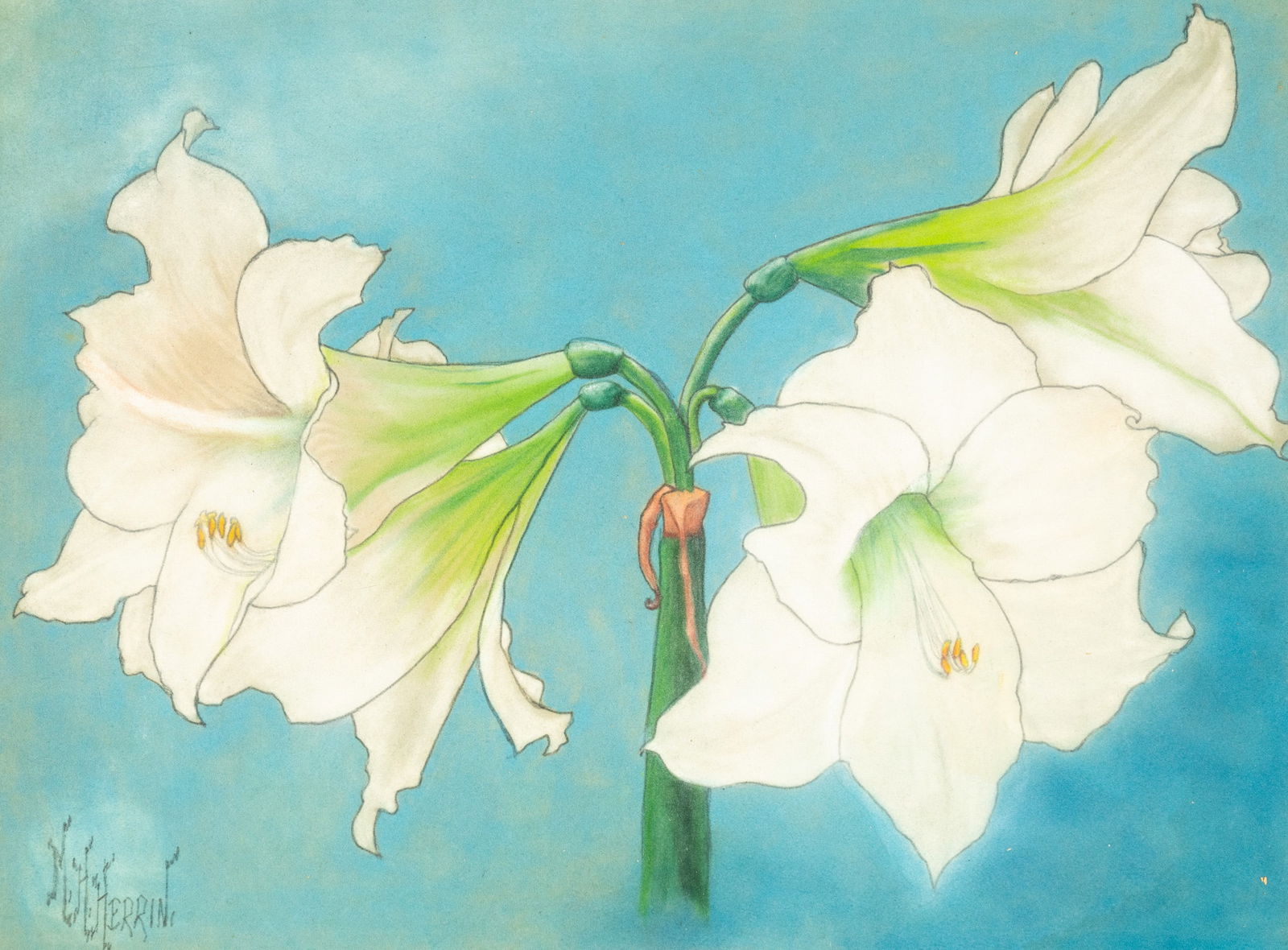 M.H. Herrin White Amaryllis Still Life Pastel on Paper (1 of 9)