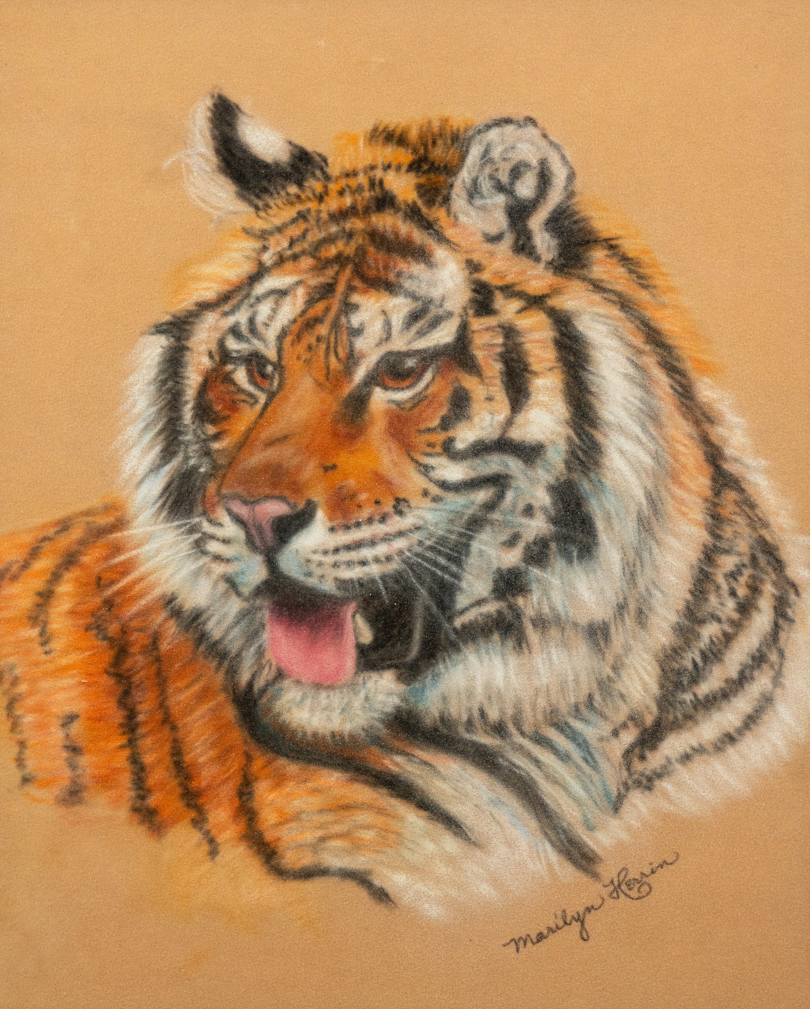 Marilyn Herrin Tiger Pastel on Paper Drawing: A Marilyn Herrin (American, 1928-2008) pastel on paper drawing depicting a portrait of a Tiger. Signed lower right. Presented in a matted frame behind glass. Sight: 10.75" x 8.75"