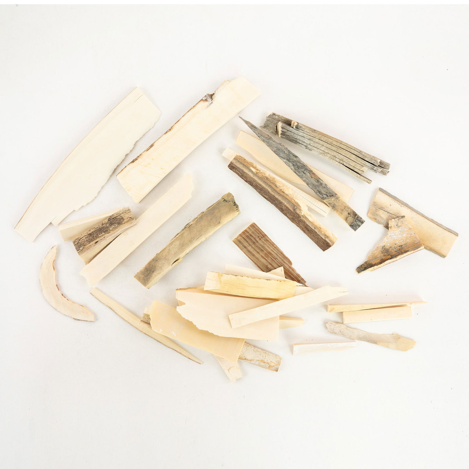 Collection of Woolly Mammoth Ivory Scraps (1 of 4)