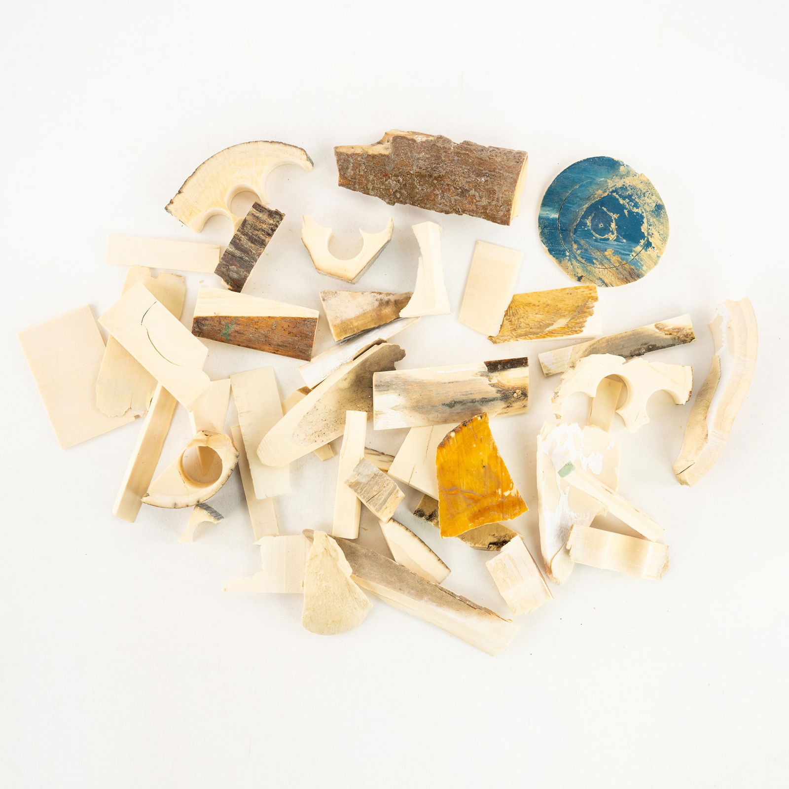 Collection of Woolly Mammoth Ivory Scraps (1 of 5)