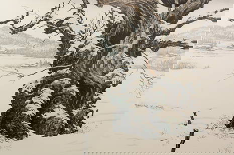 Brian Williams 'First Snow' Lithograph: A Brian Williams (Peruvian, b. 1950) lithograph titled 'First Snow' depicting a gnarled tree in a snowy field. Pencil and dated '89' lower right, titled lower center and editioned 63/100 lower left. P