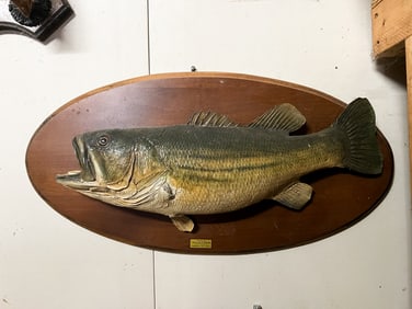 Largemouth Bass Taxidermy NY