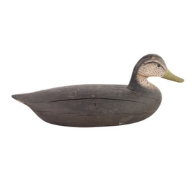 Nelson Verity Hand Carved Black Duck Decoy