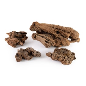 (4) Group of Burl Wood Knots