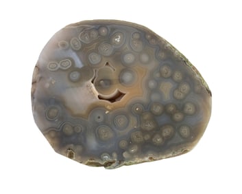 Ocean Jasper Agate Stone Cross Section Specimen