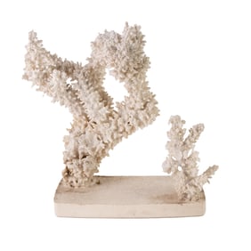 Plaster Coral Branch Cluster Sculpture