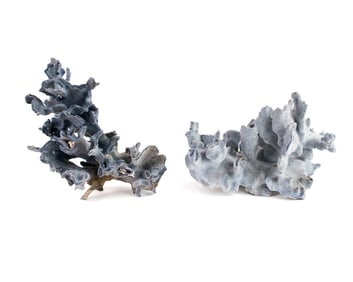 Pair of Natural Blue Coral Clusters