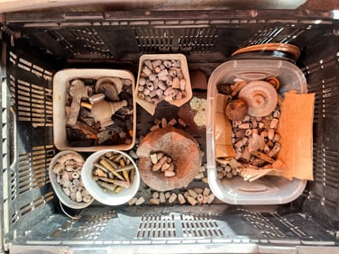 US Civil War Found Artifacts incl Minie Balls