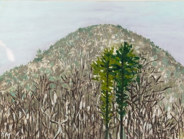 Signed RM Mountain Landscape Pastel on Paper Drawing