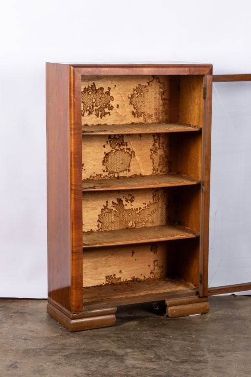 BIEDERMEIER STYLE VITRINE BOOKCASE - 3