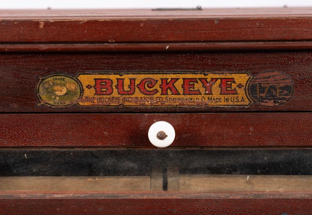 BUCKEYE EGG INCUBATOR TABLE - 5