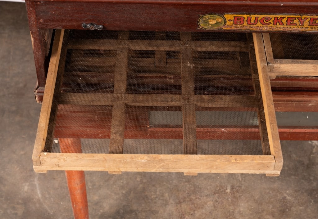 BUCKEYE EGG INCUBATOR TABLE - 6