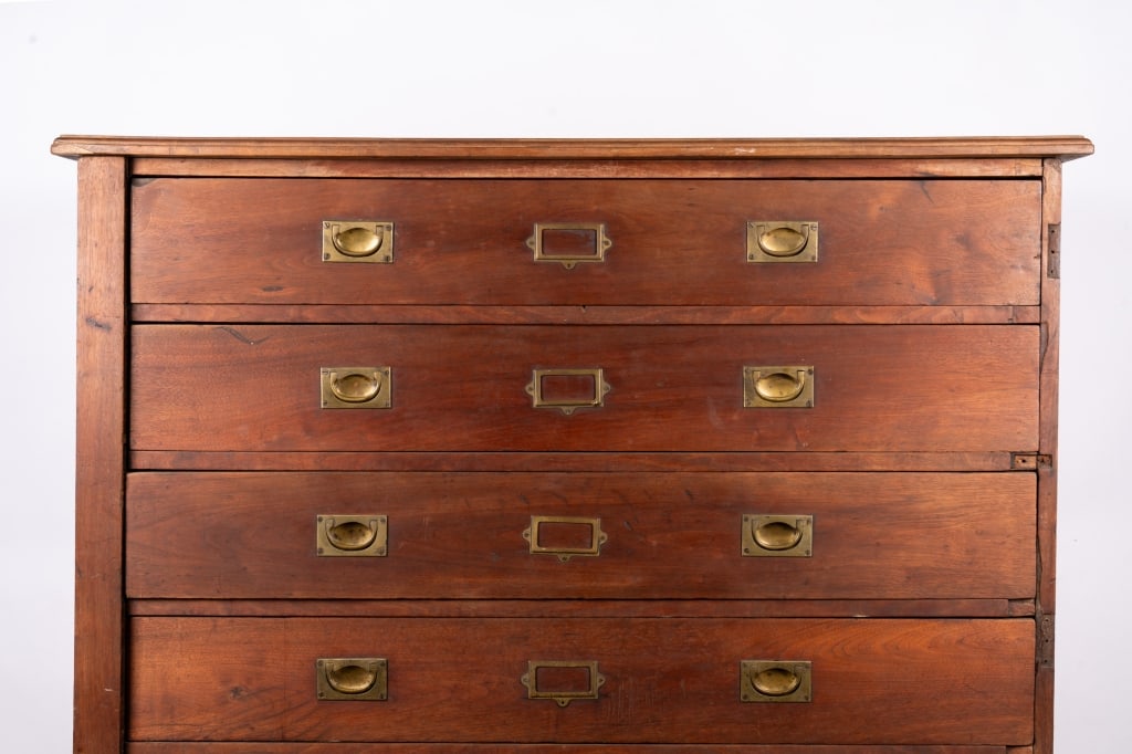 EARLY 20TH CENTURY COLLECTOR'S SPECIMEN CHEST - 2