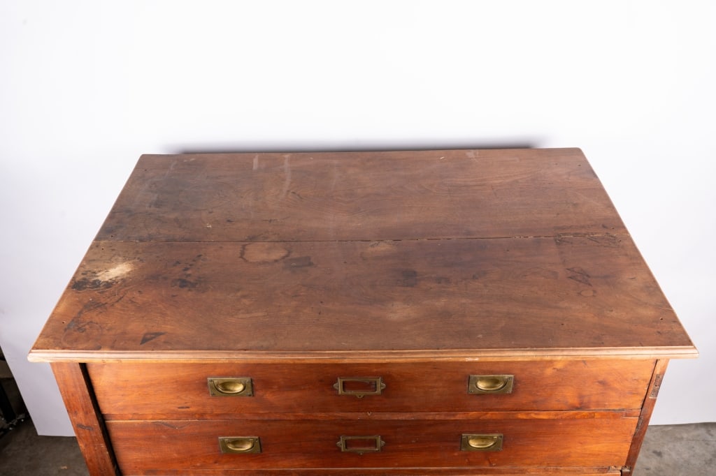 EARLY 20TH CENTURY COLLECTOR'S SPECIMEN CHEST - 5