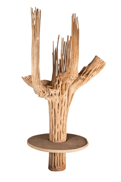 7FT SAGUARO CACTUS SKELETON: 7ft Saguaro cactus skeleton with attached table around base. Approximate dimensions: h. 86", w. 40", d. 40" Disclaimer: Participating bidders must have a credit card on file with LiveAuctioneers in