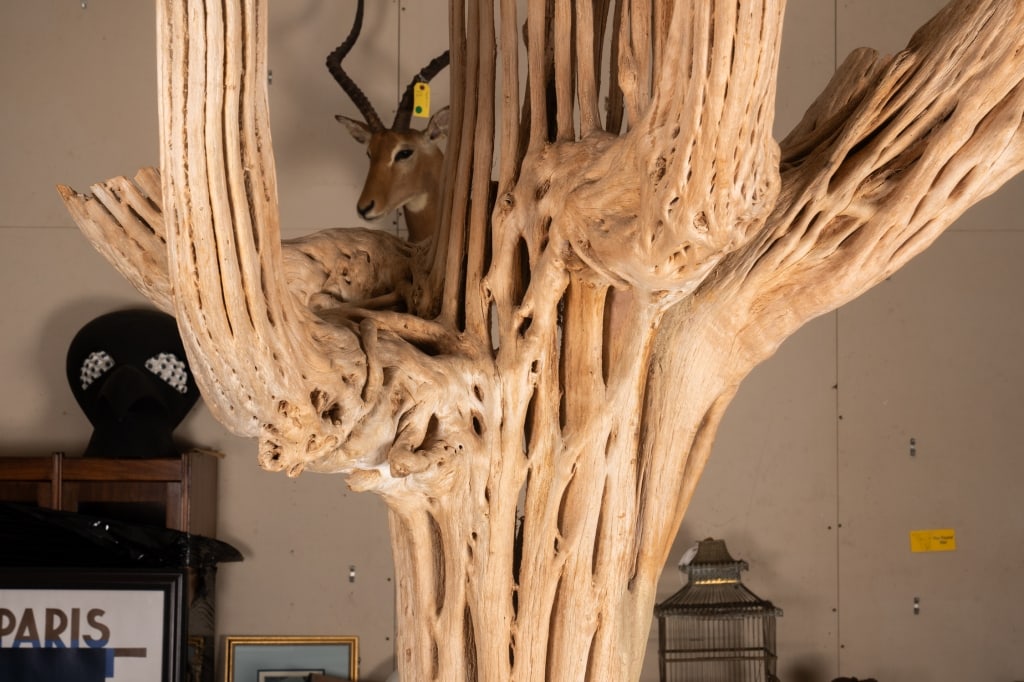 7FT SAGUARO CACTUS SKELETON - 4