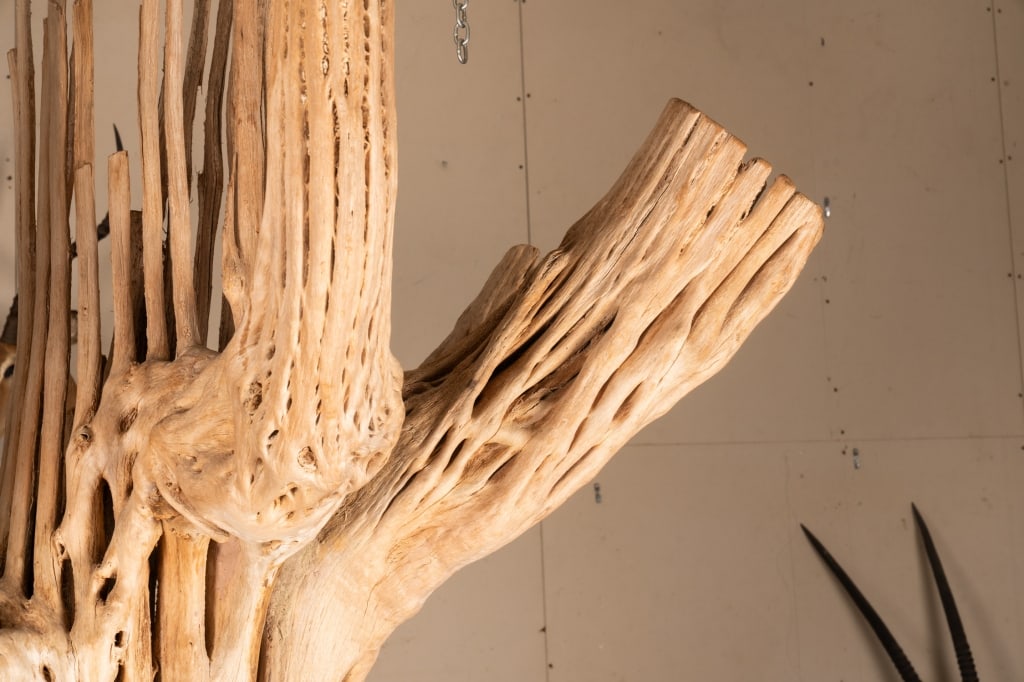 7FT SAGUARO CACTUS SKELETON - 5