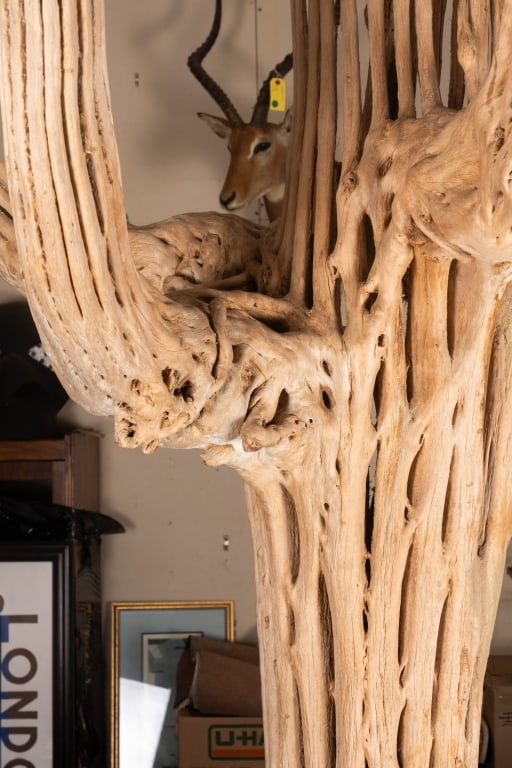 7FT SAGUARO CACTUS SKELETON - 6