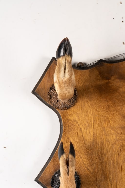 DEER HOOF GUN RACK - 2
