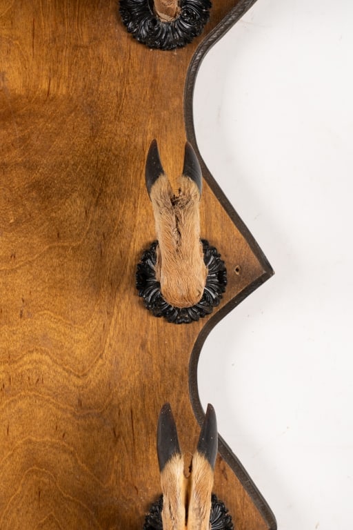 DEER HOOF GUN RACK - 3