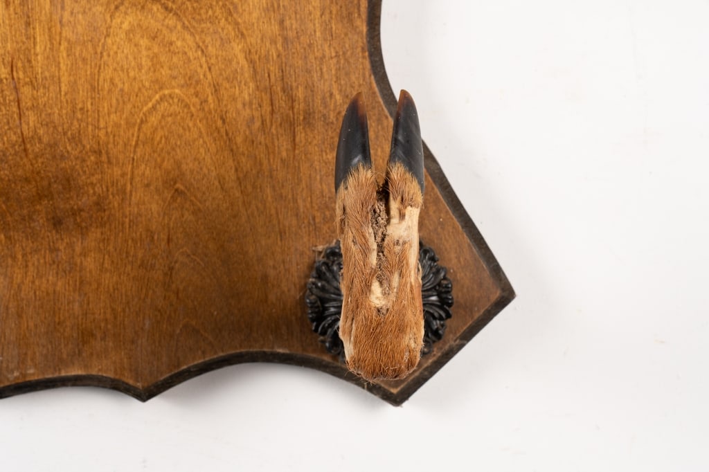 DEER HOOF GUN RACK - 5