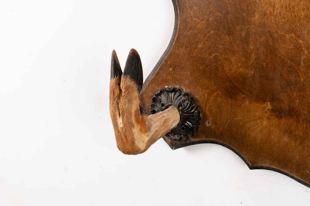 DEER HOOF GUN RACK - 6
