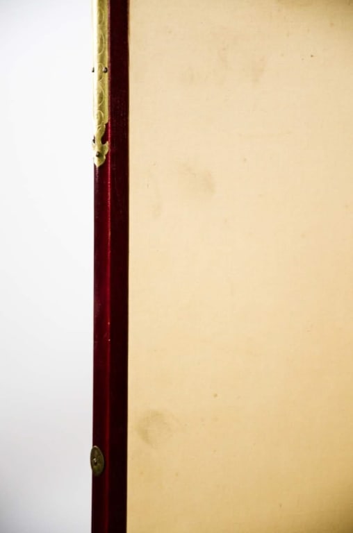 CHINESE HAND-PAINTED FLORAL BRANCH SCREEN - 10