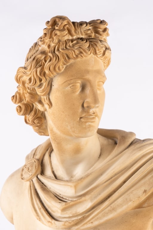 APOLLO BELVEDERE PLASTER BUST - 2
