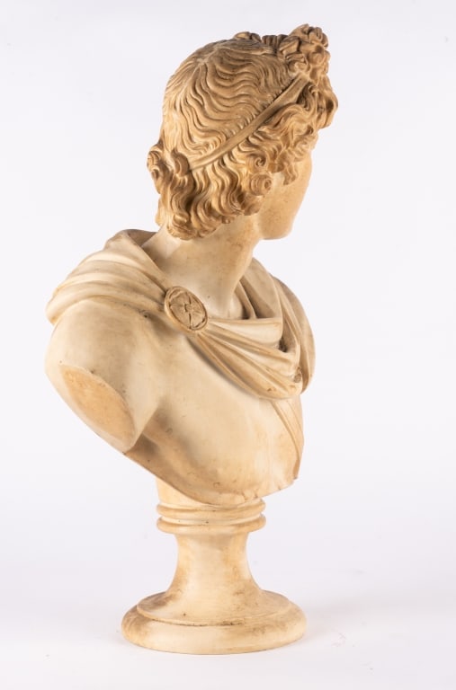 APOLLO BELVEDERE PLASTER BUST - 4