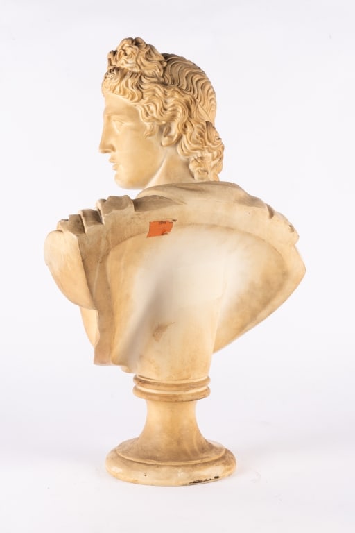 APOLLO BELVEDERE PLASTER BUST - 5