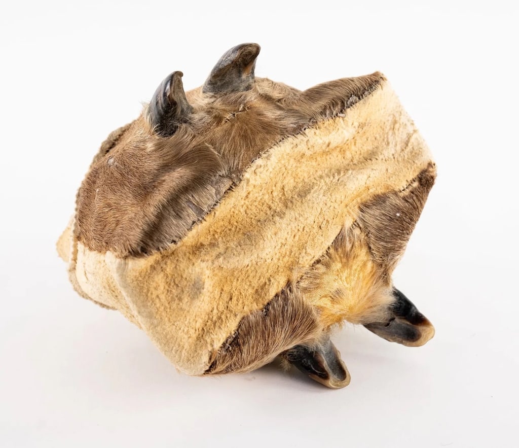 NATIVE AMERICAN DEER HOOF BAG - 7