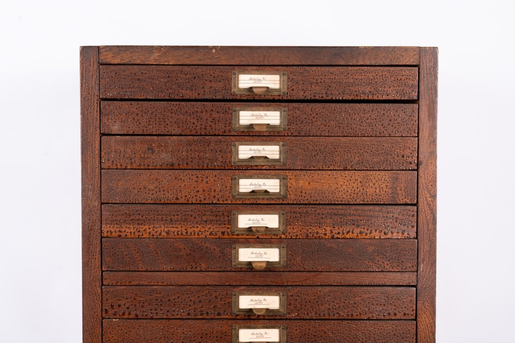 20TH CENTURY LIBRARY OR MUSEUM SPECIMEN CABINET - 2