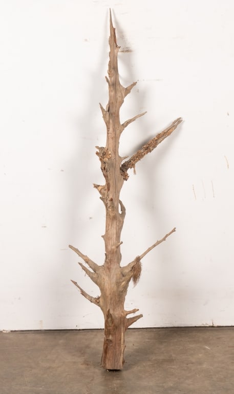 LARGE CEDAR DRIFTWOOD BRANCH - 4
