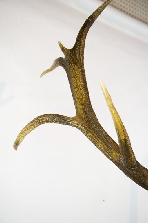 ELK MOUNT TAXIDERMY - 12