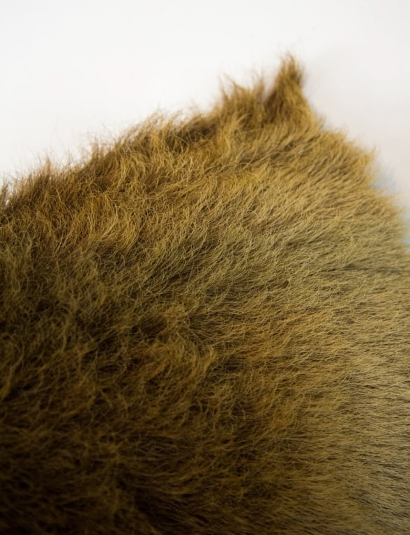 ELK MOUNT TAXIDERMY - 18