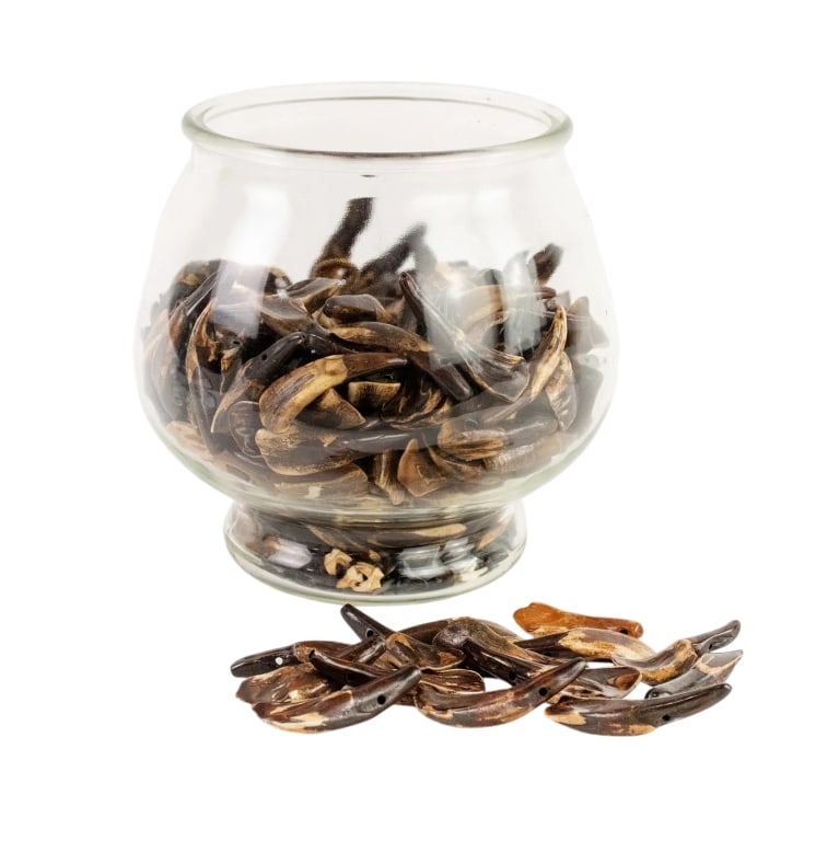 COLLECTION OF AGED BROWN BUFFALO TEETH: collection of aged brown buffalo teeth presented in a large lidded glass jar. Approximate dimensions: h. 10.75", dia 6.5" Disclaimer: Participating bidders must have a credit card on file with LiveAuc