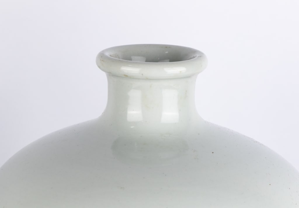 TWO CHINESE MEIPING PORCELAIN VASES - 5