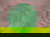 item-2506812=2