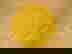 item-2506813=2